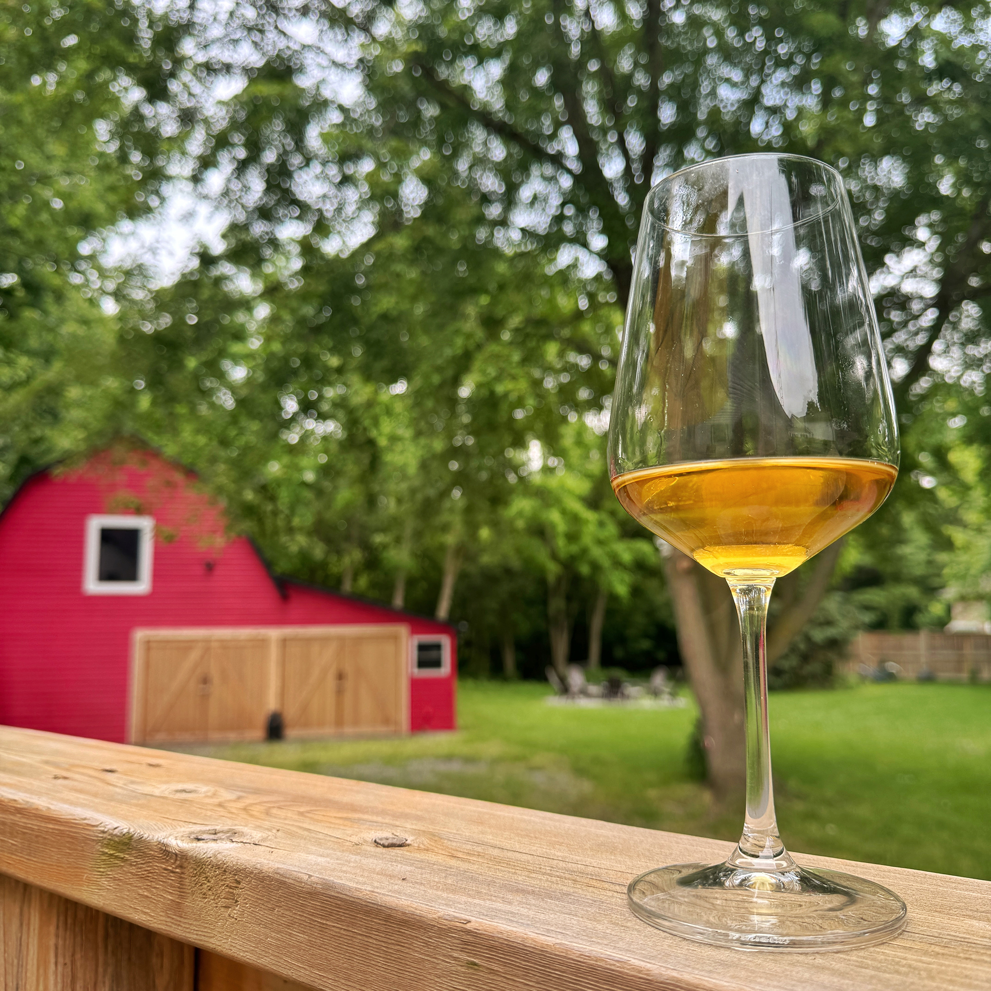 Photo%202024 06-22,%206%2015%2050 PM